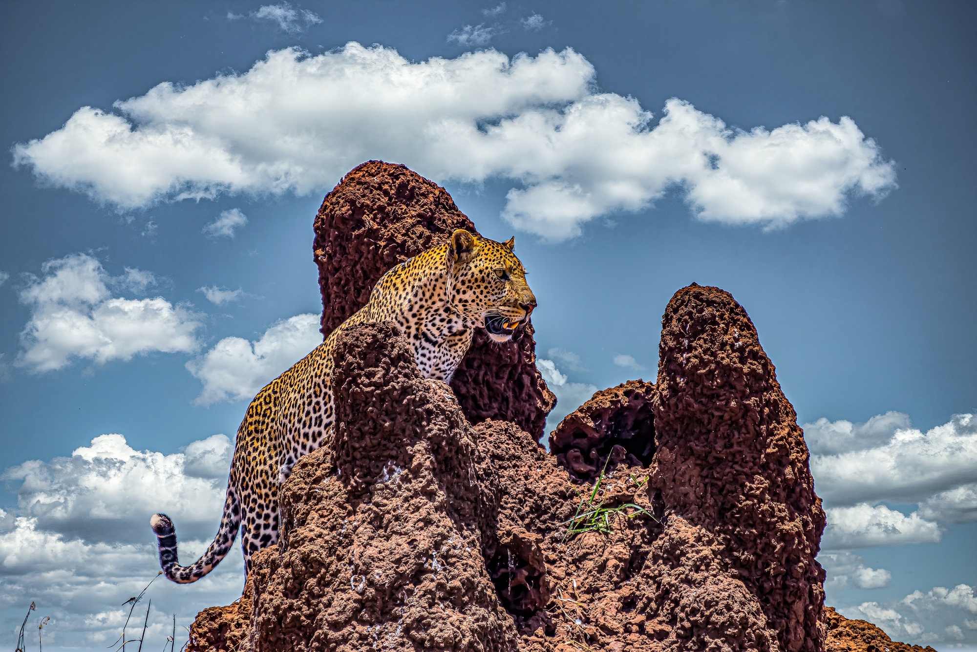 Discover Zanzibar Adventure