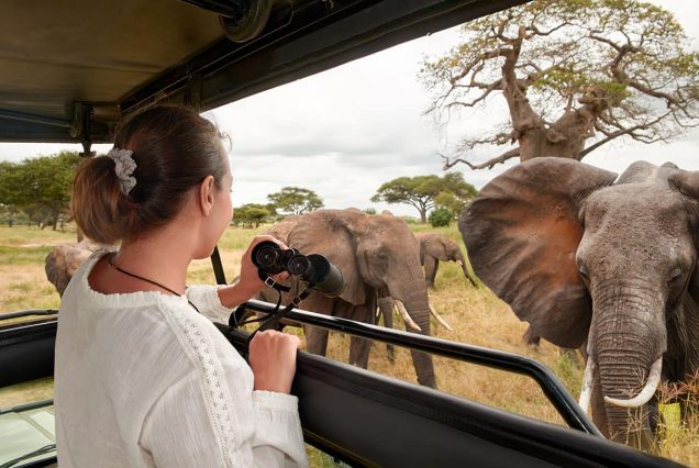 4-Day Tarangire, Serengeti & Ngorongoro from Zanzibar